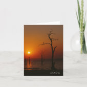 Kariba-See bei Sonnenuntergang Karte (Vorderseite)