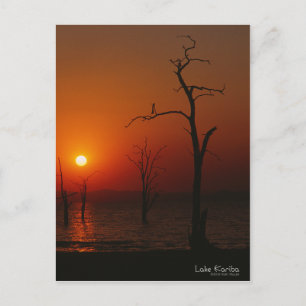 Kariba Sunset Postcard Postkarte