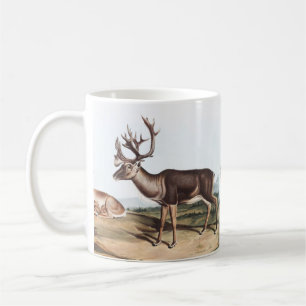Karibik, American Rein Deer (Tarandus furcifer) Kaffeetasse