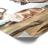 Karibik, American Rein Deer (Tarandus furcifer) Poster (Ecke)