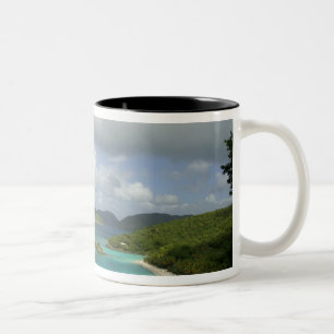Karibik, Amerikanische Jungferninseln, St. John, T Zweifarbige Tasse