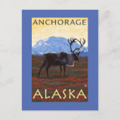 Karibik - Anchorage, Alaska Postkarte (Vorderseite)