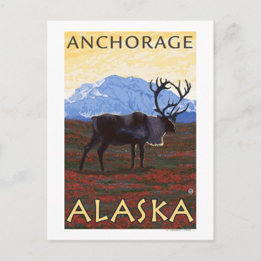 Karibik - Anchorage, Alaska Postkarte (Vorderseite)