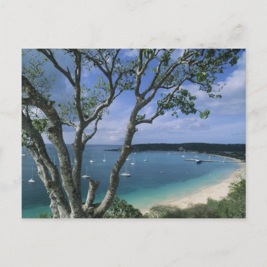 Karibik, Anguilla Island, Road Bay Harbour. Postkarte (Vorderseite)