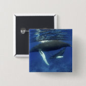 Karibik, Archipel der Großen Antillen, Button (Vorne & Hinten)