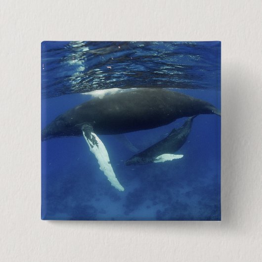 Karibik, Archipel der Großen Antillen, Button (Vorderseite)