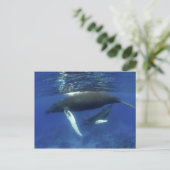 Karibik, Archipel der Großen Antillen, Postkarte (Stehend Vorderseite)