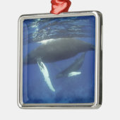 Karibik, Archipel der Großen Antillen, Silbernes Ornament (Links)
