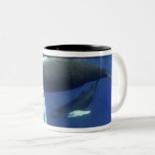 Karibik, Archipel der Großen Antillen, Zweifarbige Tasse (VorderseiteRechts)