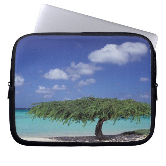 Karibik, Aruba. Adlerstrand Laptopschutzhülle (Vorderseite)