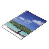Karibik, Aruba. Adlerstrand Notizblock (Linke Seite)