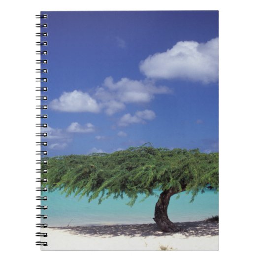 Karibik, Aruba. Adlerstrand Notizblock (Vorderseite)