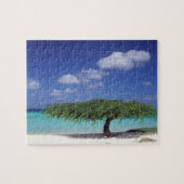 Karibik, Aruba. Adlerstrand Puzzle (Horizontal)