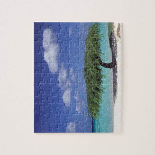 Karibik, Aruba. Adlerstrand Puzzle (Vertikal)