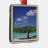 Karibik, Aruba. Adlerstrand Silbernes Ornament (Rechts)