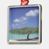 Karibik, Aruba. Adlerstrand Silbernes Ornament (Links)