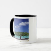 Karibik, Aruba. Adlerstrand Tasse (Vorderseite Links)