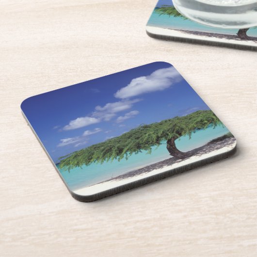 Karibik, Aruba. Adlerstrand Untersetzer (Linke Seite)