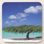 Karibik, Aruba. Adlerstrand Untersetzer (Vorderseite)