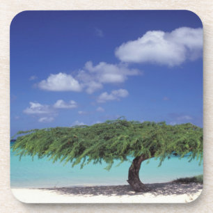 Karibik, Aruba. Adlerstrand Untersetzer