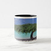 Karibik, Aruba. Adlerstrand Zweifarbige Tasse (Mittel)