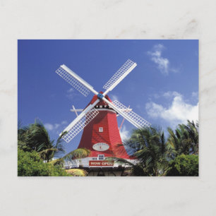 Karibik, Aruba. Alte Mühle, umgebaut in 'Mühle Postkarte