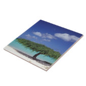 Karibik, Aruba. Eagle Beach Fliese (Seite)