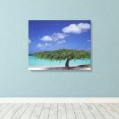 Karibik, Aruba. Eagle Beach Leinwanddruck (Insitu (Holzboden))