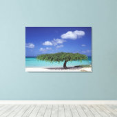 Karibik, Aruba. Eagle Beach Leinwanddruck (Insitu (Holzboden))