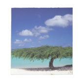 Karibik, Aruba. Eagle Beach Notizblock (Vorderseite)