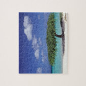 Karibik, Aruba. Eagle Beach Puzzle (Vertikal)