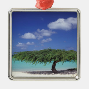 Karibik, Aruba. Eagle Beach Silbernes Ornament