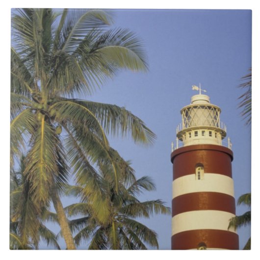 Karibik, Bahamas, Abaco, Elbow Cay. Hoffung Fliese (Vorderseite)