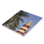 Karibik, Bahamas, Abaco, Elbow Cay. Hoffung Fliese (Seite)