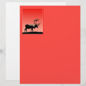 Karibik bei Sunset - Original Wildlife Art (Vorne/Hinten)