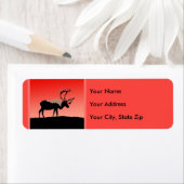 Karibik bei Sunset - Original Wildlife Art (Insitu)