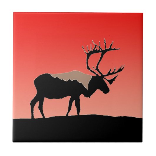 Karibik bei Sunset - Original Wildlife Art Fliese (Vorderseite)