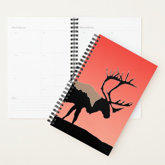 Karibik bei Sunset - Original Wildlife Art Planer (Anzeige)
