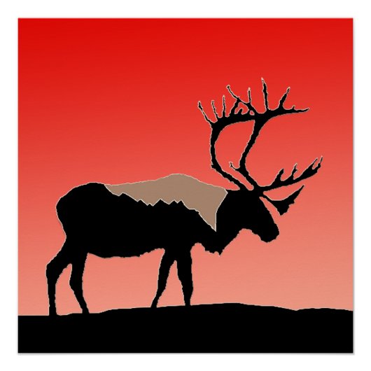 Karibik bei Sunset - Original Wildlife Art Poster (Vorderseite)