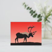 Karibik bei Sunset - Original Wildlife Art Postkarte (Stehend Vorderseite)