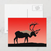 Karibik bei Sunset - Original Wildlife Art Postkarte (Vorne/Hinten)