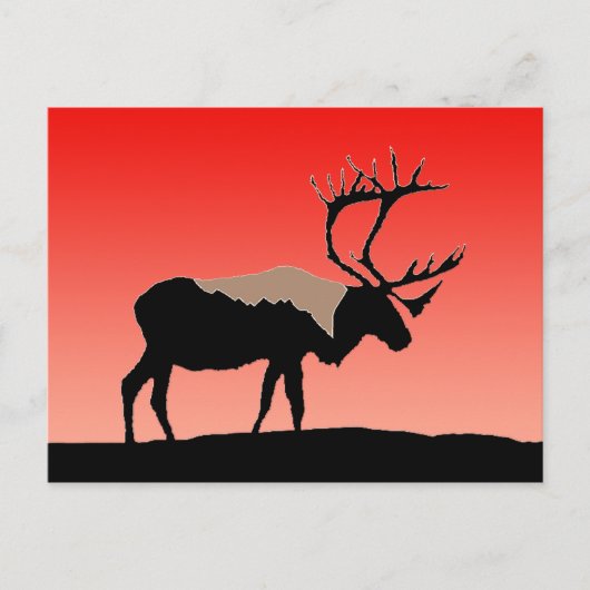 Karibik bei Sunset - Original Wildlife Art Postkarte (Vorderseite)
