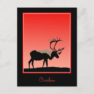 Karibik bei Sunset - Original Wildlife Art Postkarte