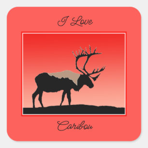 Karibik bei Sunset - Original Wildlife Art Quadratischer Aufkleber