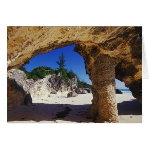 Karibik, Bermuda, Tucker's Town. Natürlich
