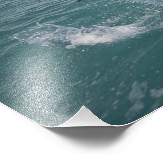 Karibik, Bottlen Fotodruck (Ecke)