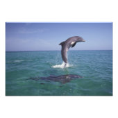 Karibik, Bottlen Fotodruck (Vorne)