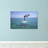 Karibik, Bottlen Leinwanddruck (Insitu (Holzboden))