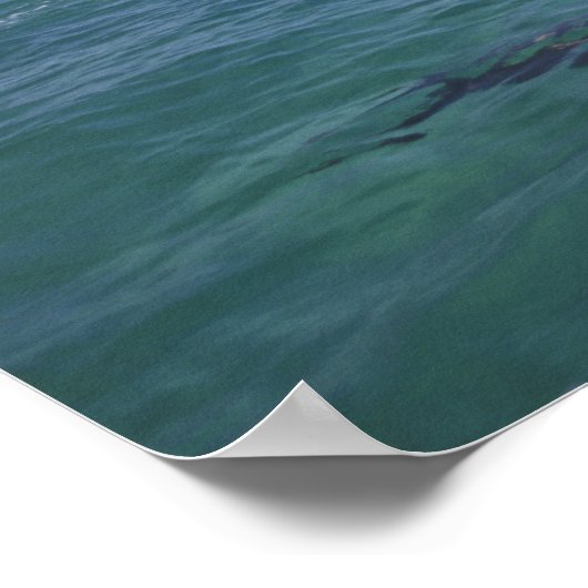 Karibik, Bottlen Poster (Ecke)