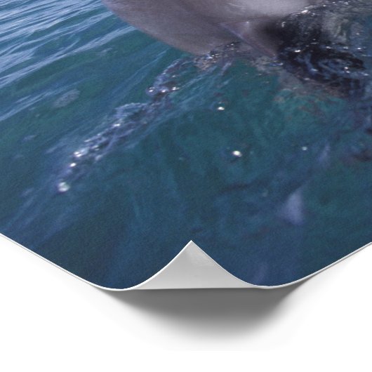 Karibik, Bottlen Poster (Ecke)